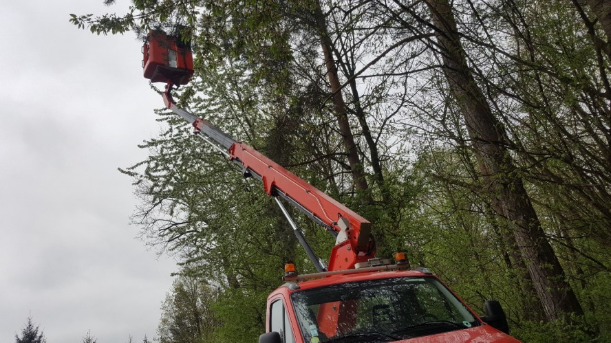 Wynajem podnośników koszowych nożycowych Lubartów